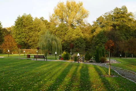 Dom Opieki - Skrzyszów, niedaleko Raciborza